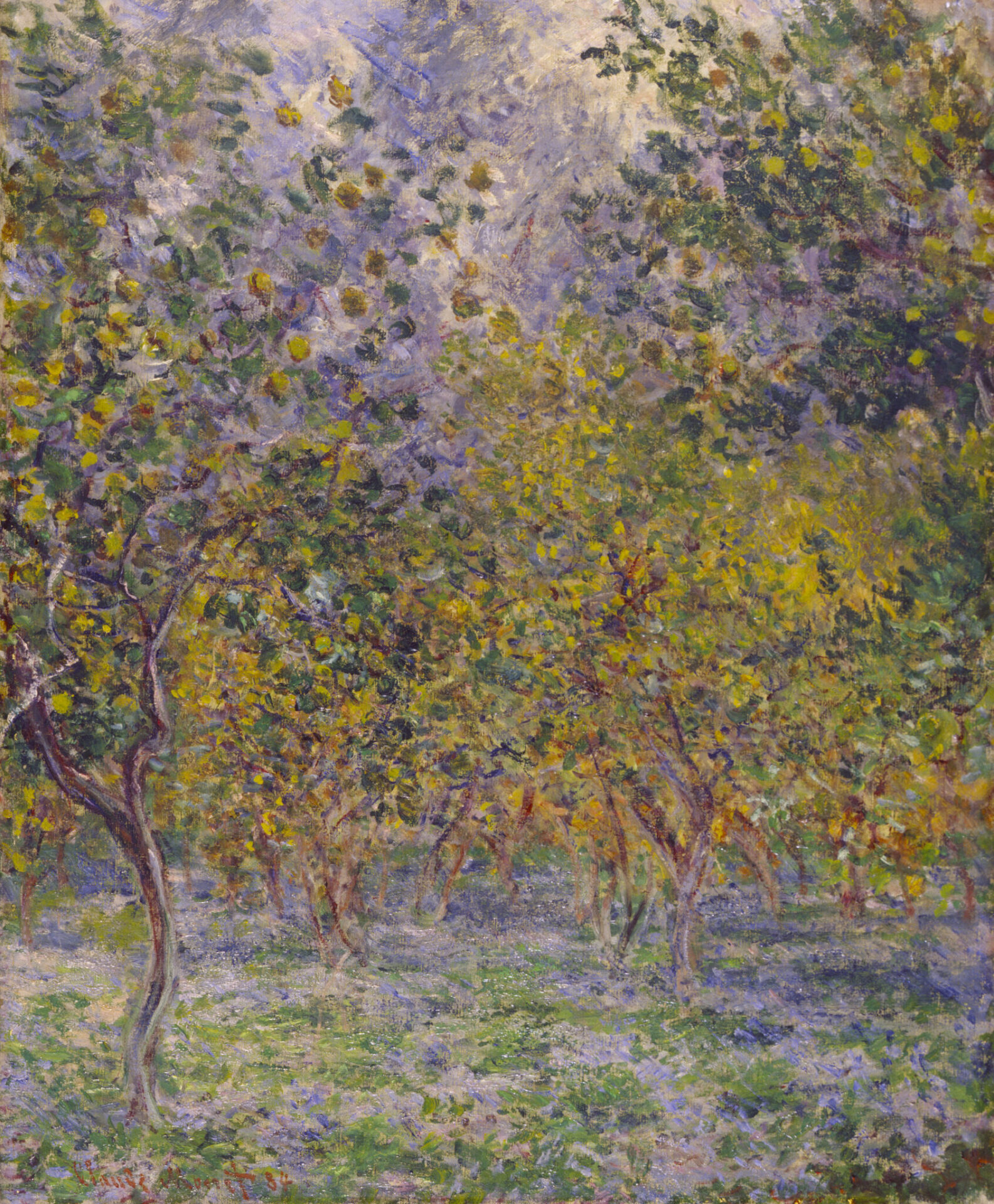 Monet Lemon Grove.jpg